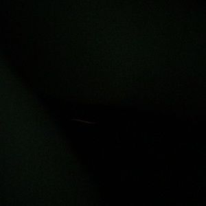 Meet your Posher, Susana